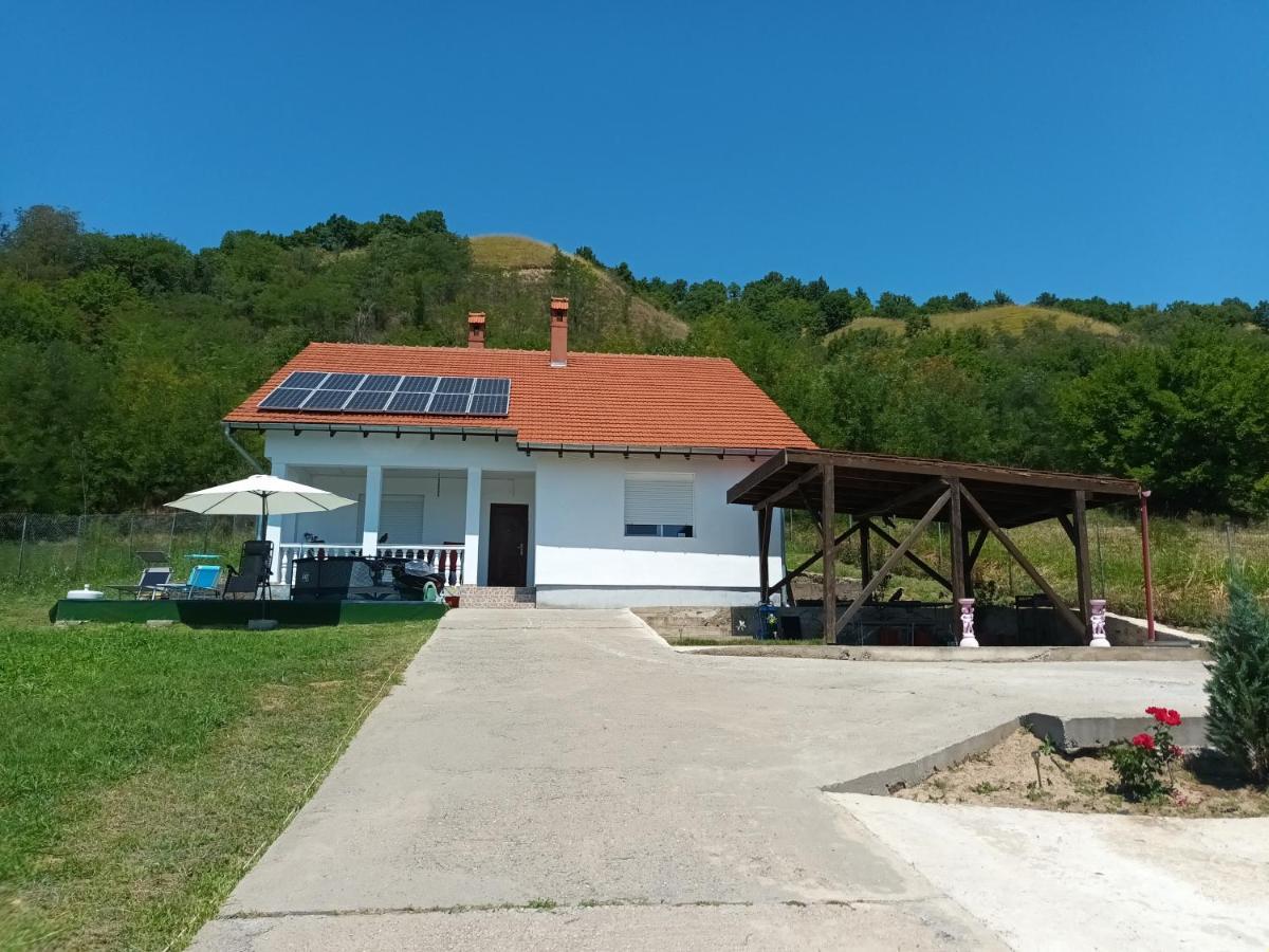 Casa de Vacanta pe malul Dunarii Villa Divici Exterior foto